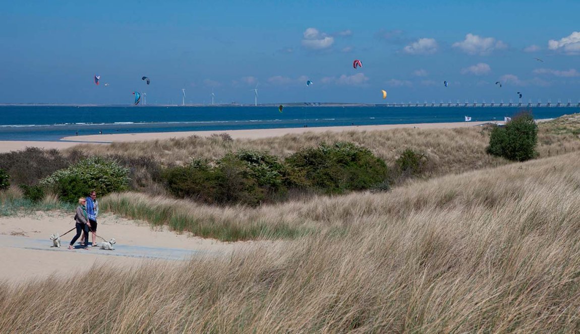 Vrouwenpolderse duinen met kiters en zee