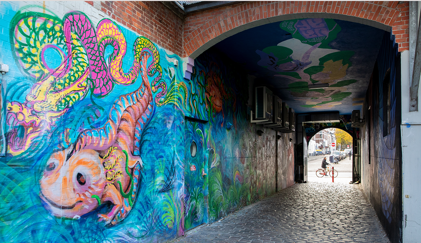Kleurige Street art in een oud steegje in de stad Groningen.