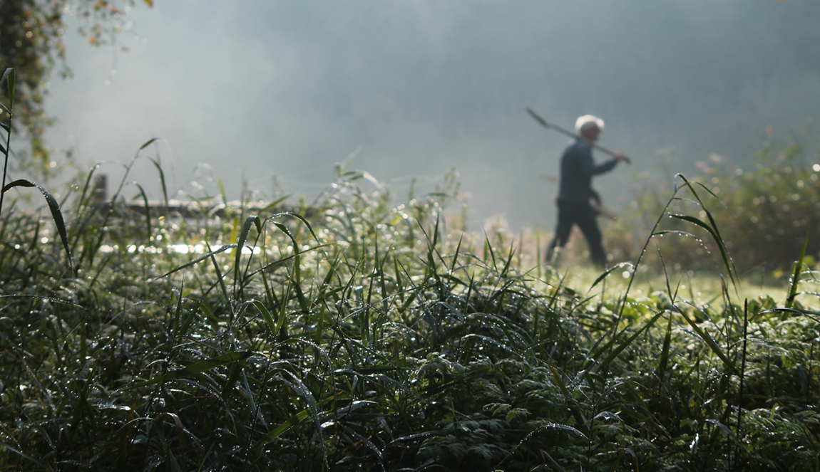 Gras met op de achtergrond een man met schep